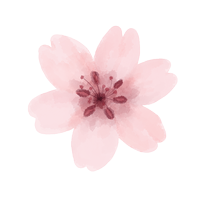 A picture of a drawn cherry blossom