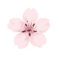 A picture of a drawn cherry blossom
