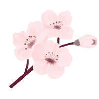 A picture of a drawn cherry blossom